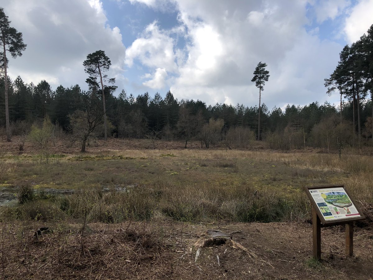 1stNorley's tweet image. Awesome Easter hike. Stopping for lunch at Black Lake. #lunch #scouthike #returntoscouting #skillsforlife