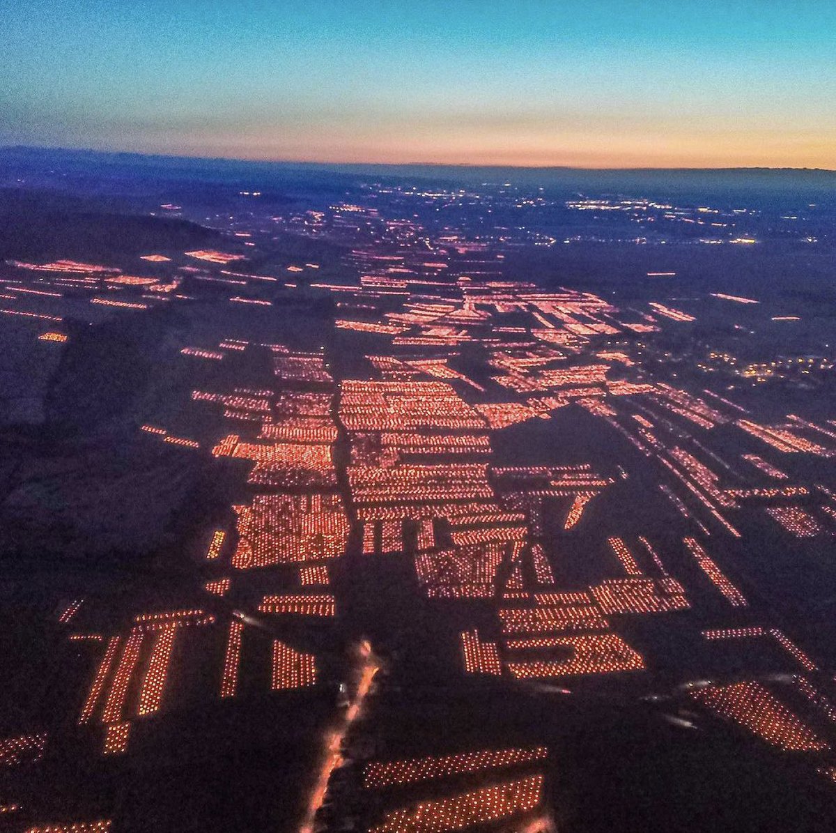 A devastating week for the vineyards of France. Grower Vincent Dancer of Chassagne-Montrachet with the most dramatic of images as they tried to fight off the frost in Burgundy.