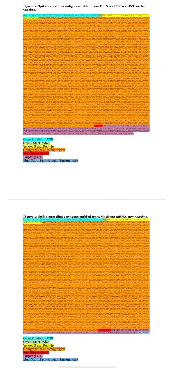 Thom As tweet media
