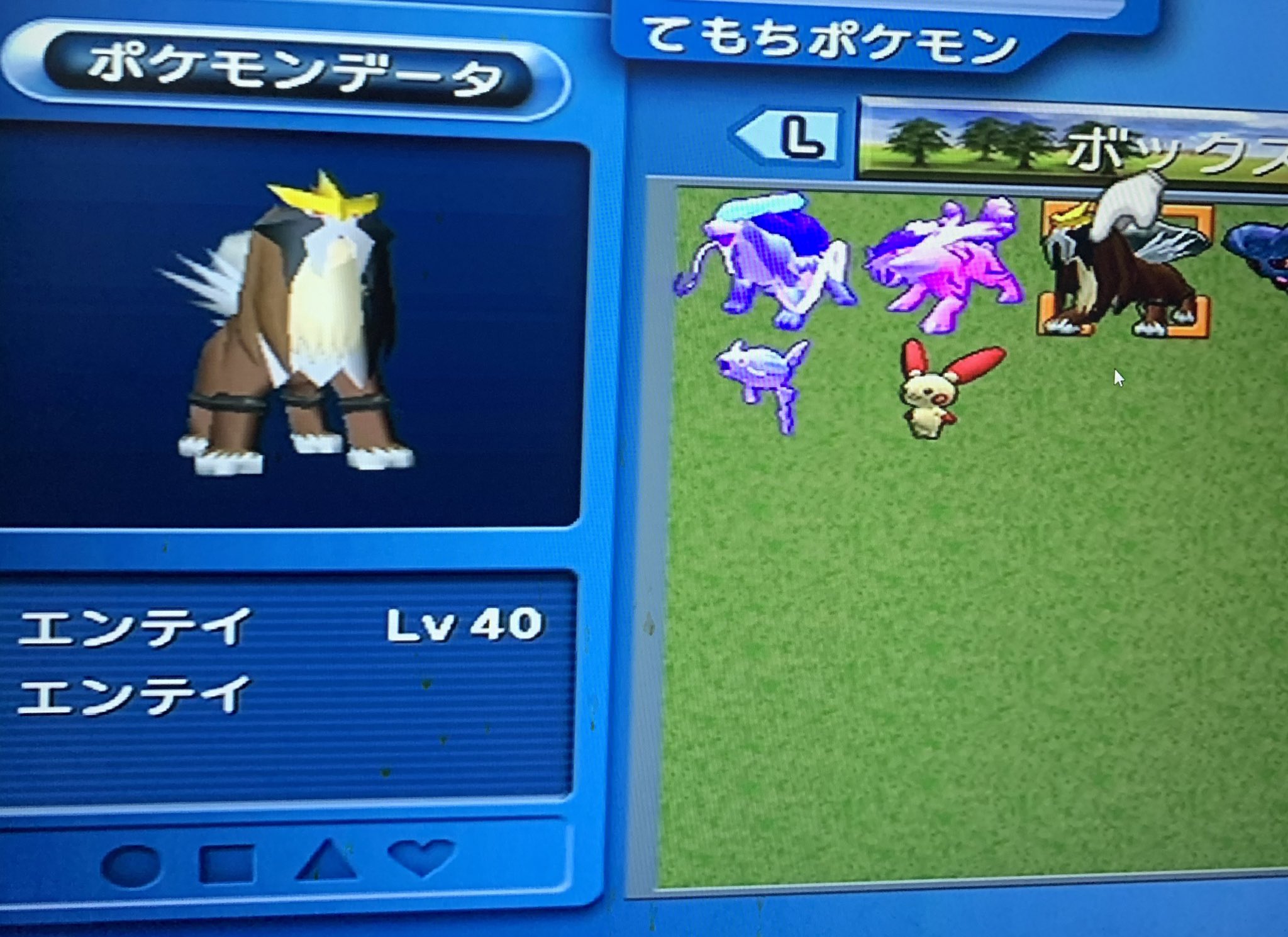 わにのこり コロシアム3犬 全種菱形色違いスイクン ライコウ エンテイ マスボ無しでライコウは中々しんどかったです T Co Gqvdjle3yd Twitter