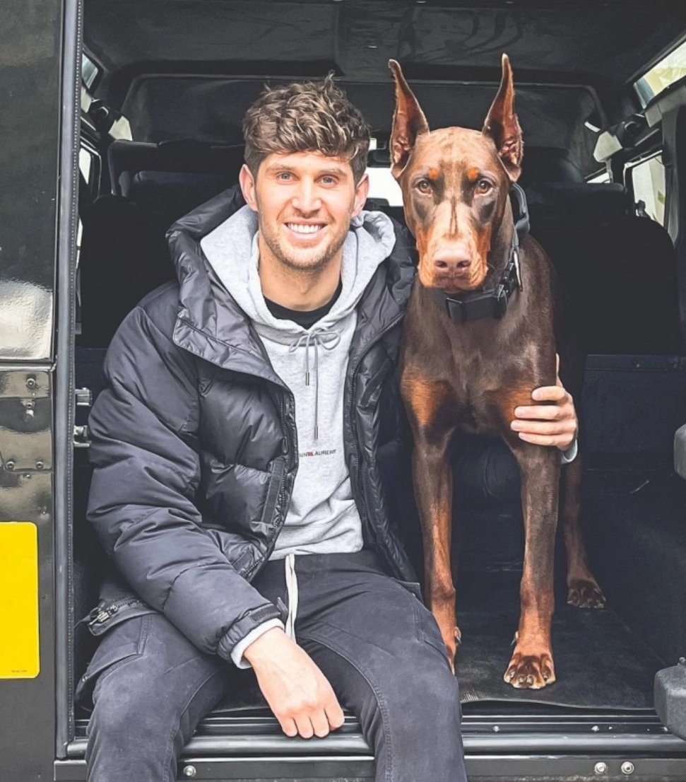 BeatonNicky's tweet photo. Shame on you #johnstones you should have better educated yourself, and if you knew, even more shame on you! 🤬 The pain this pup endured for you to have an adapted and modified dog 😒😔, sickening! @MCityFC12 https://t.co/SXHZagNiR0