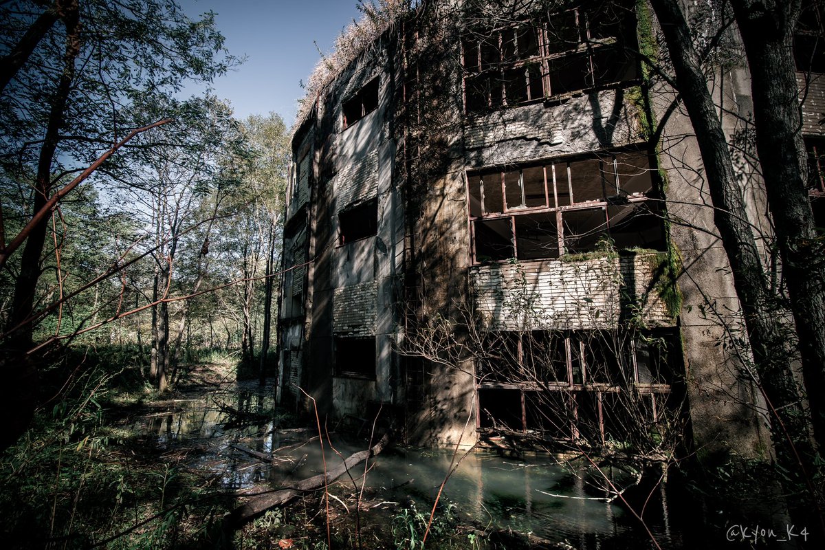 幻想的な円形の小学校の廃墟写真がバズる 生徒として通っていた人が現れる 同校がモデルの学校がマンガに描かれていた Togetter