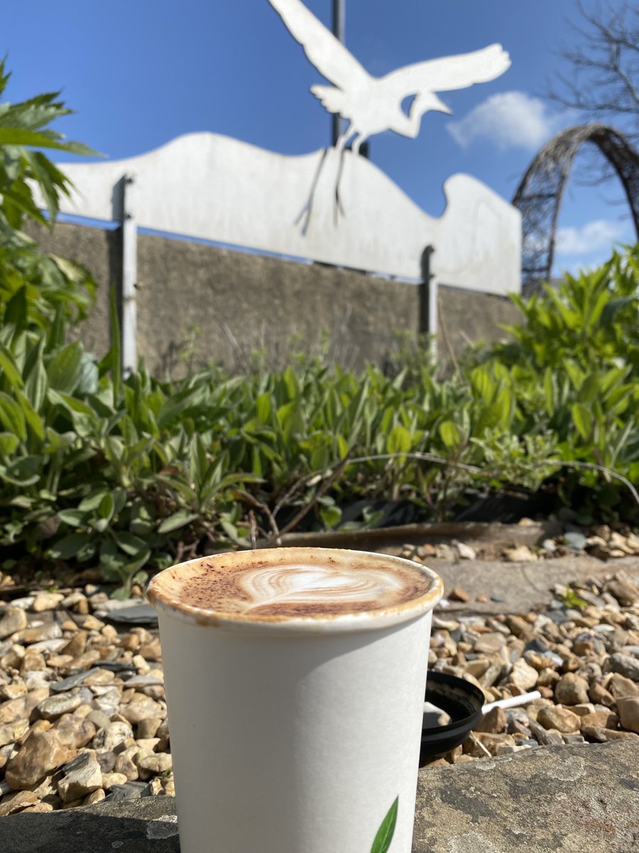 Julie Walkling🏳️‍🌈🎓🐝 tweet media