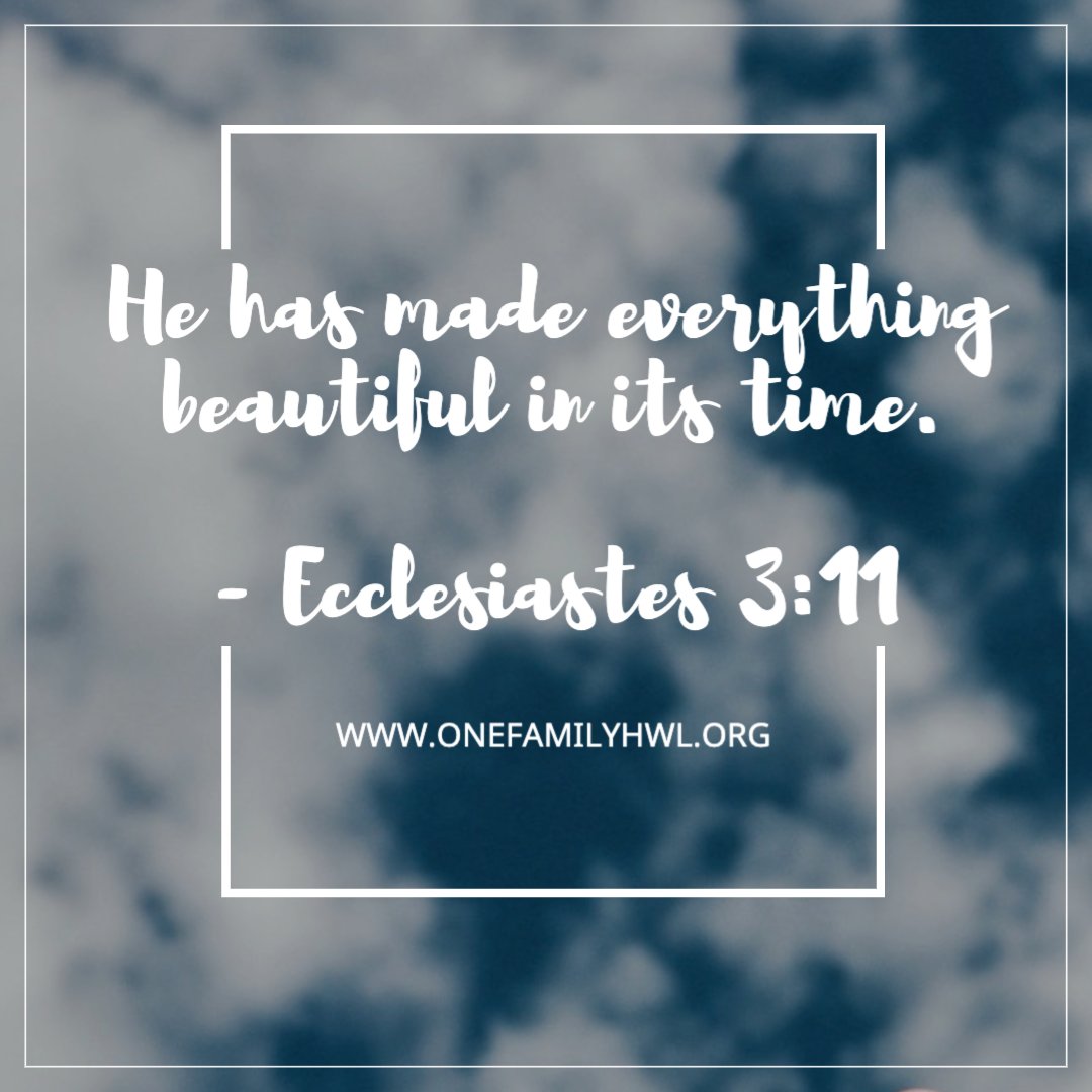 OneFamilyhwl's tweet photo. OneFamily Daily Thought - Beauty
#beauty #beautyinitstime #hehasmadeeverythingbeautiful #onefamilyhwl #parenting #marriage
Discover more at https://t.co/XjkfC12Fpa https://t.co/GMmWq1fkEs