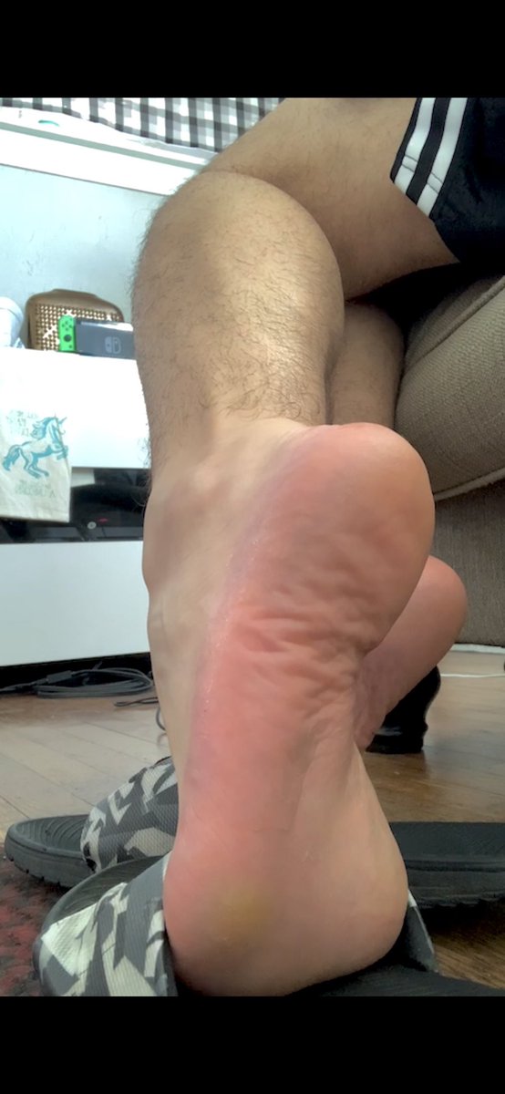 alphastonerfeet's tweet photo. Good morning boys. I want you at my heel while I game. https://t.co/uxKOOLN0JZ