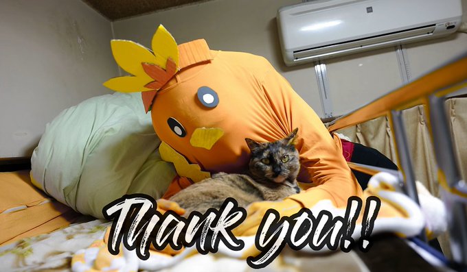 ポケモン ルビーのbgmと効果音を全てバイオリンで再現する動画