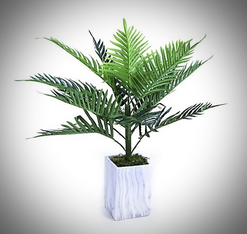 peonyjuliebates's tweet image. Faux palms, so en trend, so ultra chic! We adore the marble pot, it finishes the piece off an absolute treat and the vibrancy of the green provides such an incredible pop of colour! 
Available directly from the @QVCUK website for £80! #peonyfauxflower #onlineshopping