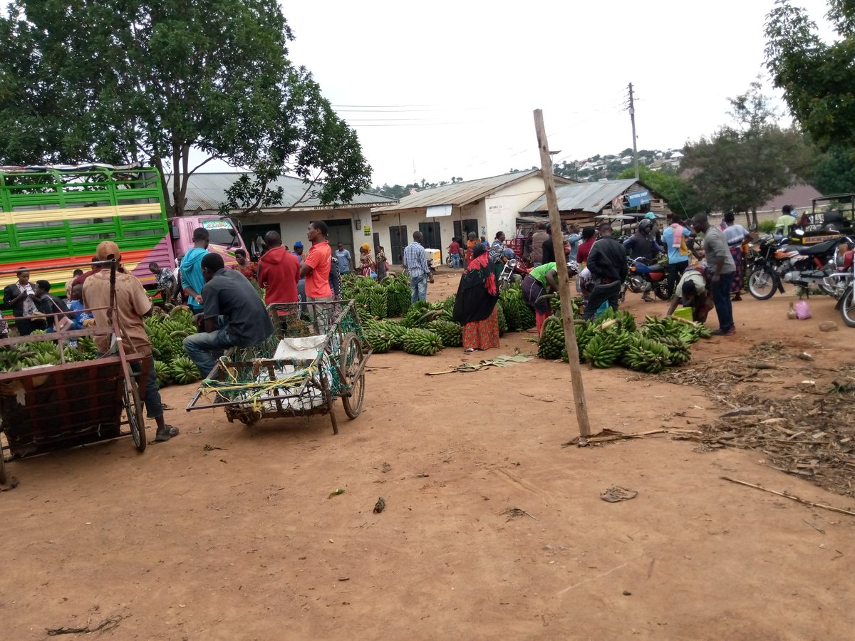 Trading in the midst of Covid-19 disruption. Banana traders at Kiloleli market, Mwanza region. 
#Africanfoodsystems
