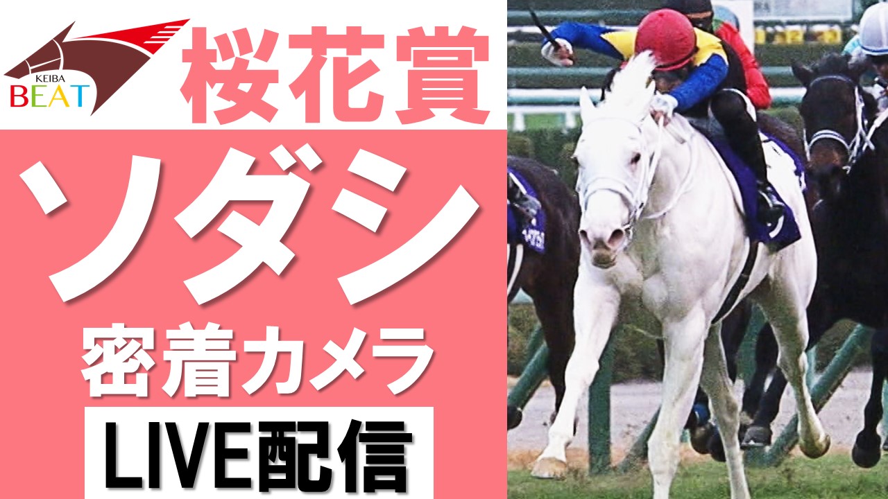 ソダシ 桜花賞 2021年 単勝 がんばれ馬券 現地馬券 JRA 競馬