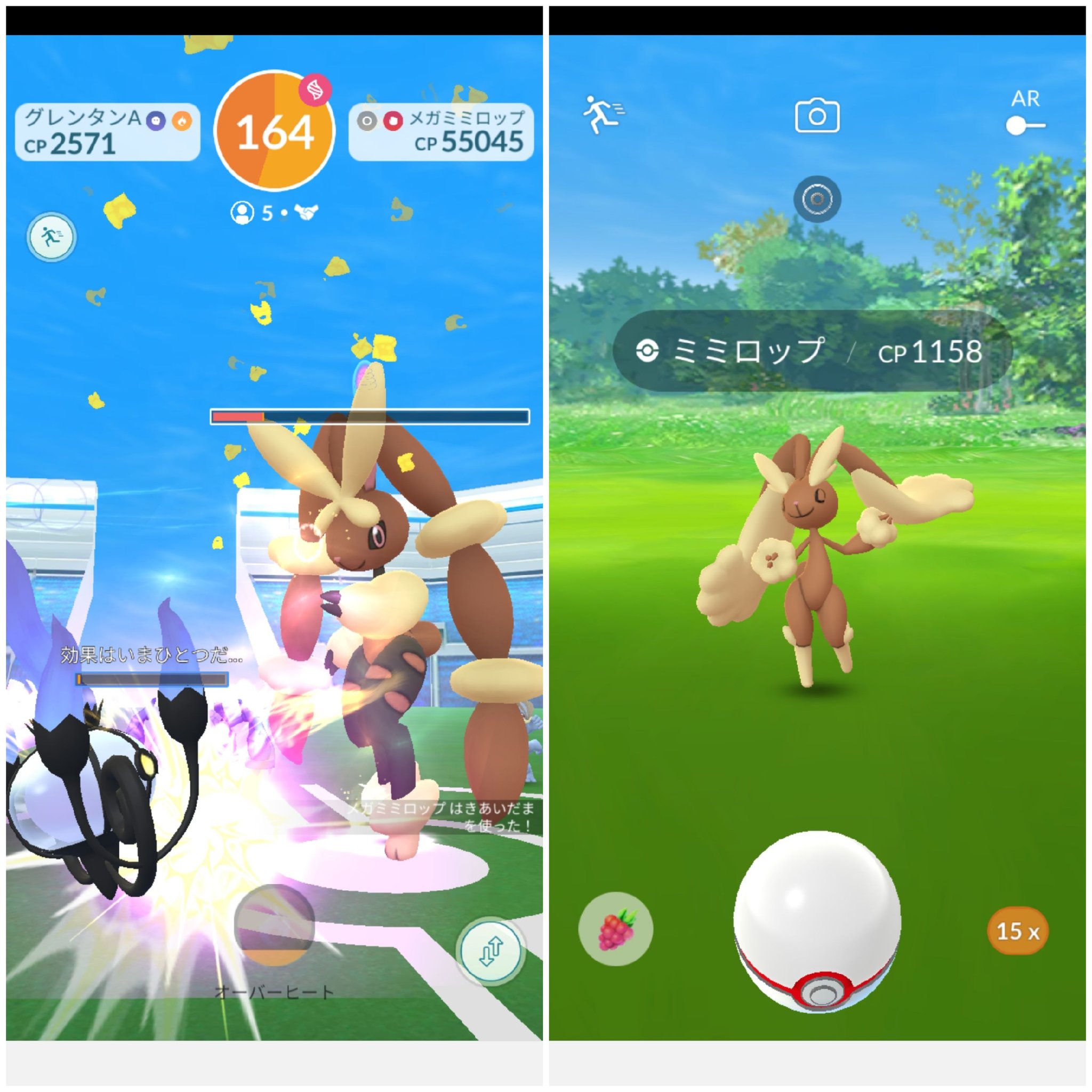Amazinghisa 今日のポケモンgo活動 レイドはメガミミロップ フレンドさんのエナジー集めに協力しました 野生のギャラドスと遭遇 シシコ捕まえていたら の高個体 12kmたまごからコマタナ だいぶ コマタナの数も増えてきました