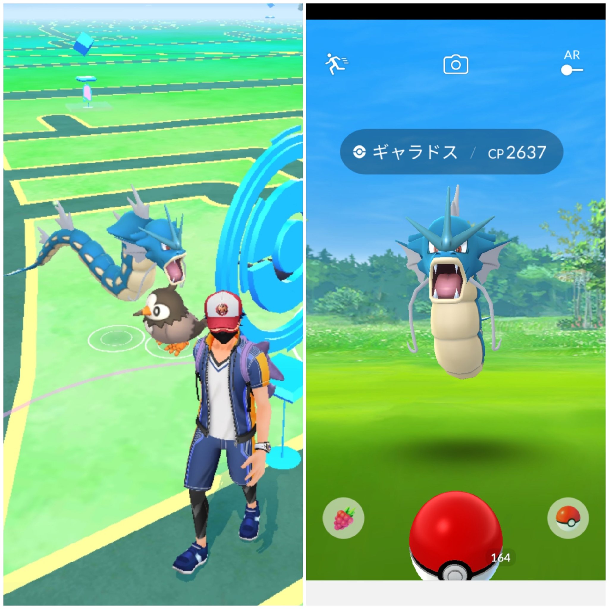 Amazinghisa 今日のポケモンgo活動 レイドはメガミミロップ フレンドさんのエナジー集めに協力しました 野生のギャラドスと遭遇 シシコ捕まえていたら の高個体 12kmたまごからコマタナ だいぶ コマタナの数も増えてきました