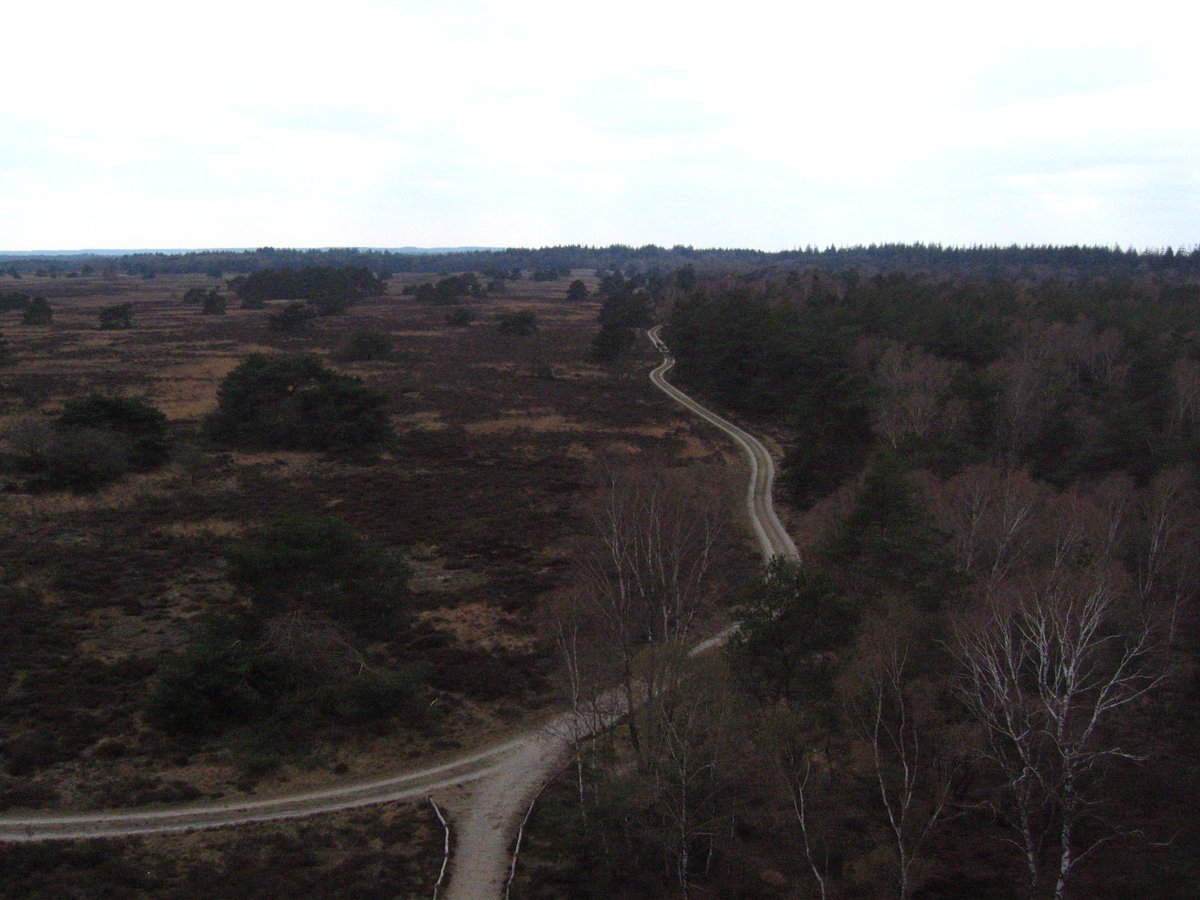 Angelfish888 tweet media