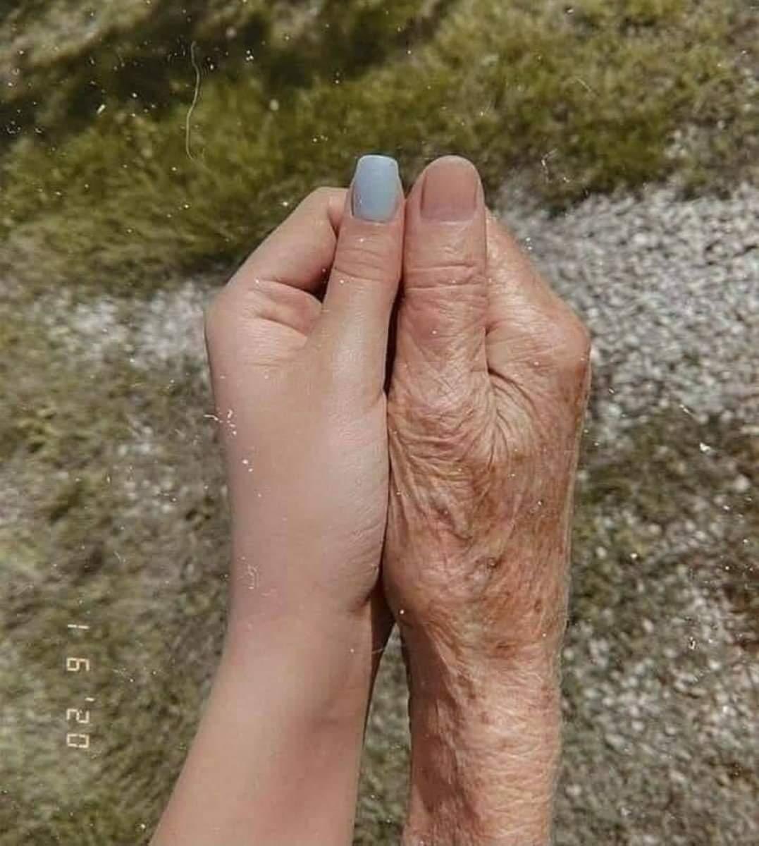 Solo es un viaje corto, disfrútalo.