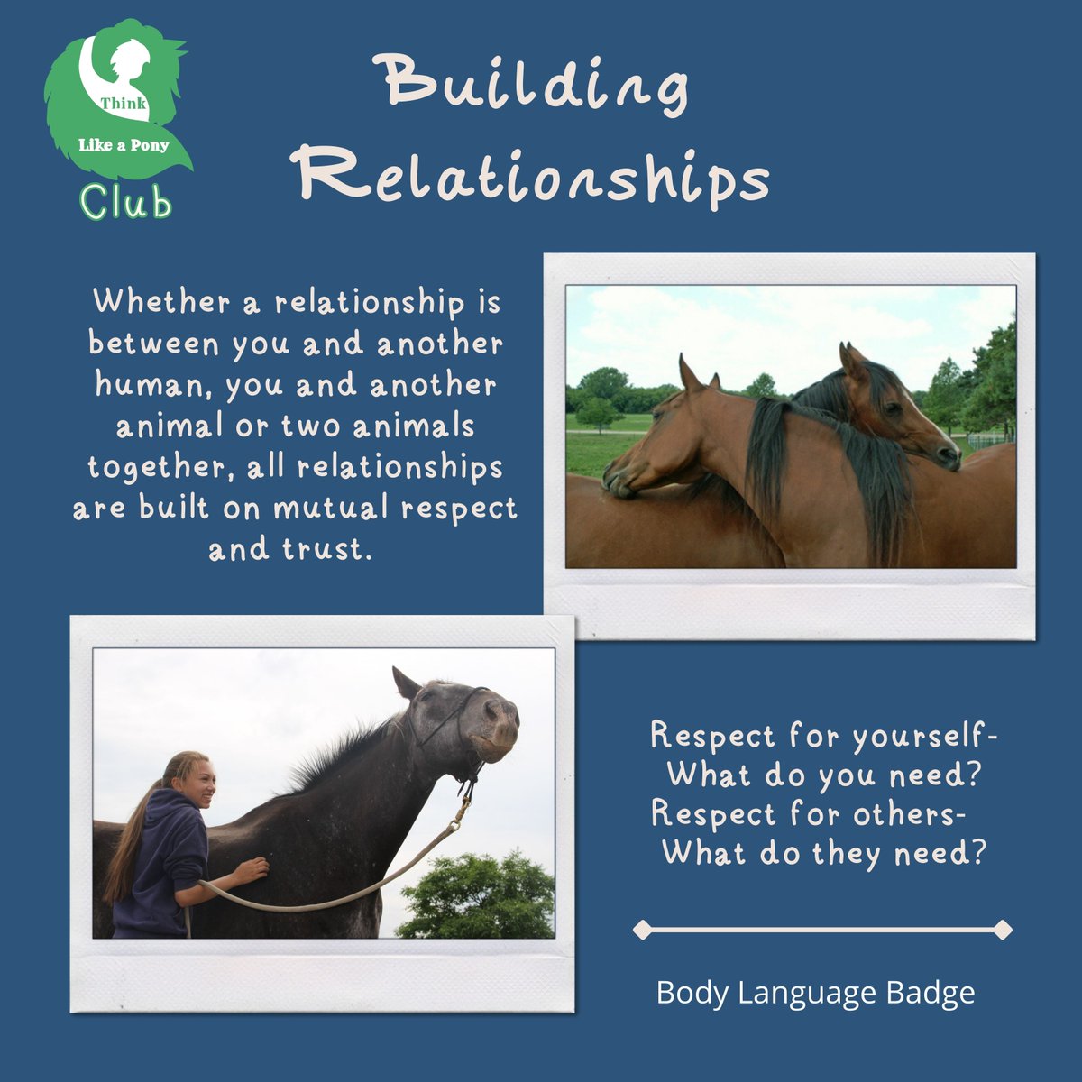 ThinkLikeaPony tweet media