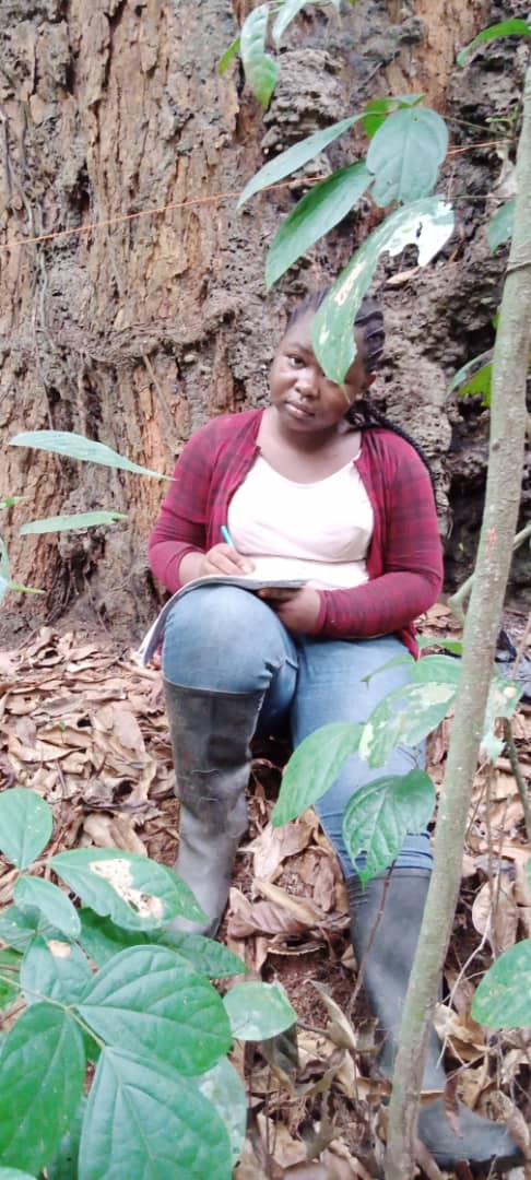 Parc national Douala-edea. Inventaire forestier dans la forêt de malimba à moanko