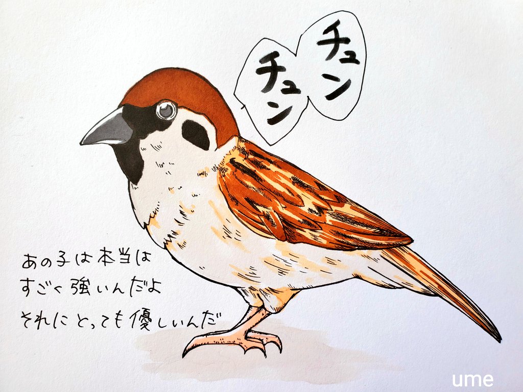 Twoucan チュン太郎 の注目ツイート イラスト マンガ コスプレ モデル