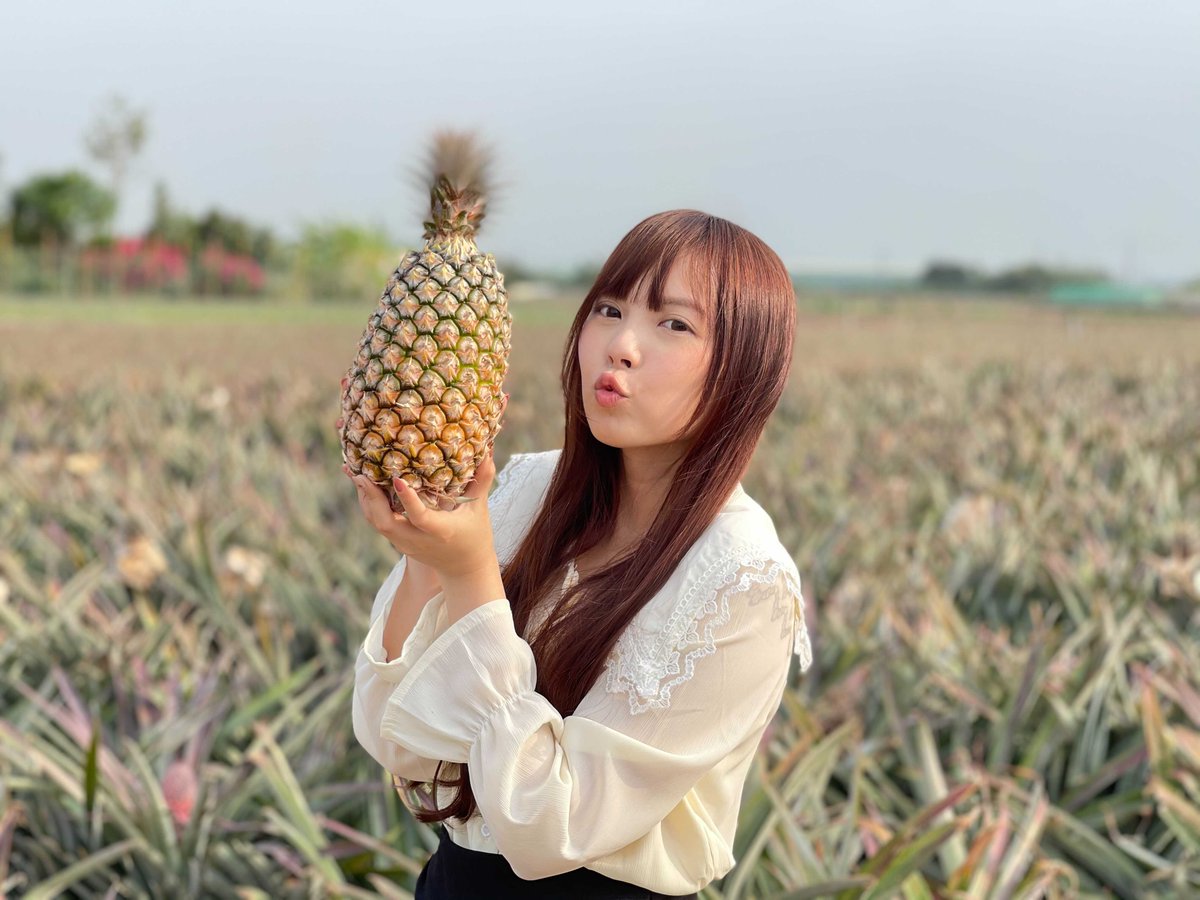 サンエン台湾　Sanyuan_Taiwan tweet media