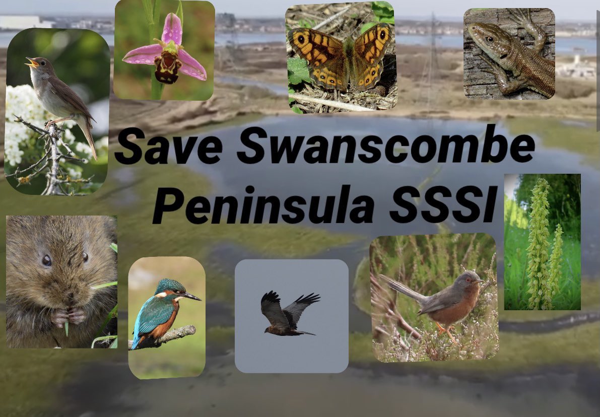 If EVERYONE who sees this tweet, SIGNS the 2 petitions & then RTs there is a great chance that TOGETHER you will SAVE this site! 

PLEASE do something GREAT NOW: #SaveSwanscombe: 
1. change.org/p/london-resor…
2. change.org/p/the-bbc-bbc-… 
Follow @sspcampaign to stand together 👍