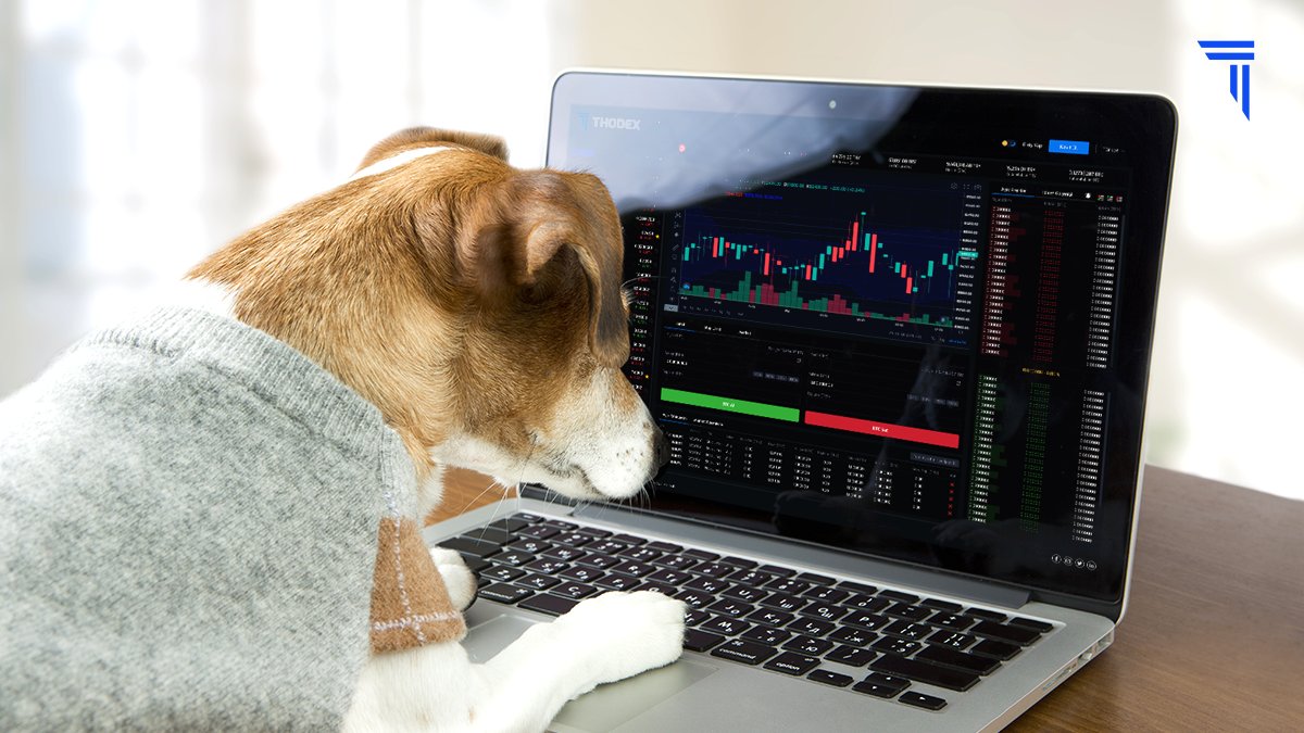 İyi hafta sonları! ✨

Günlük rutinimiz cumartesi dinlemiyor. Kripto para dünyasının güvenilir borsası THODEX'te 7/24 kesintisiz işlem avantajıyla her şey daha keyifli!✌

Tüm işlemlerin için👉 thodex.com/tr