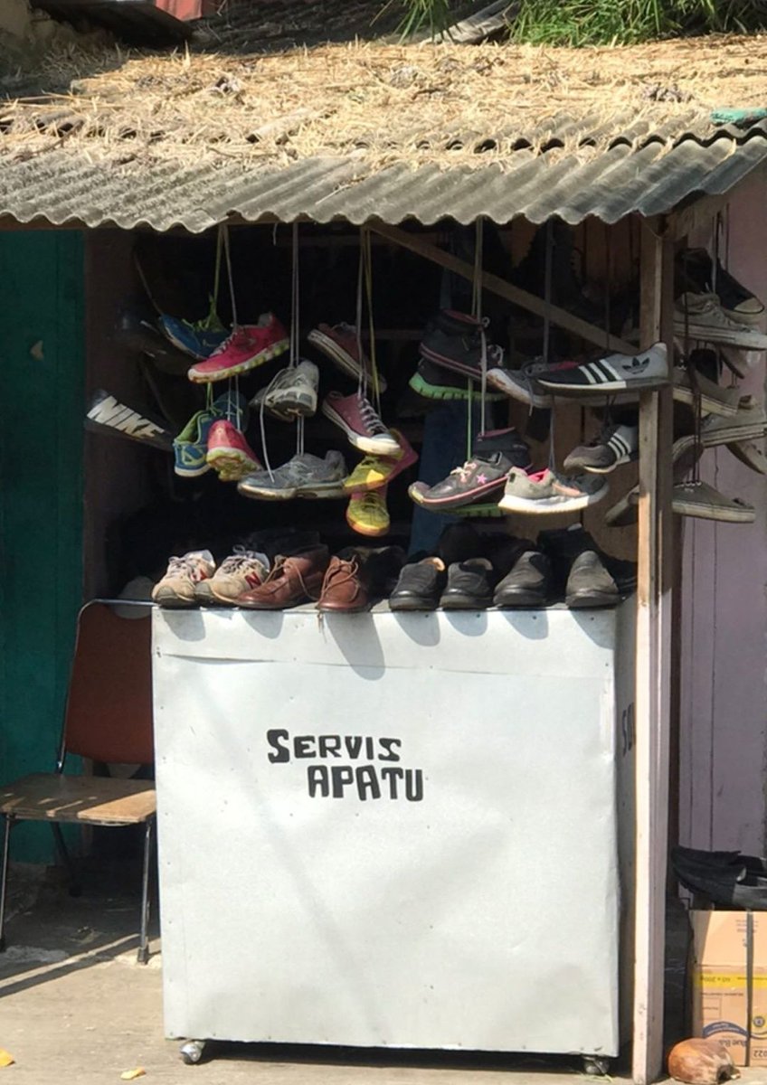 willoughby tucker tweet media