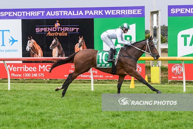 Bred by Mr C Beggs, SACRED GODDESS won @spendthriftpark today for <a href="/RichardLaming1/">Richard Laming</a> and apprentice Celine Gaudray. The mare was a $350K purchase at the 2018 <a href="/inglis_sales/">Inglis</a> Easter Yearling Sale. Congratulations!