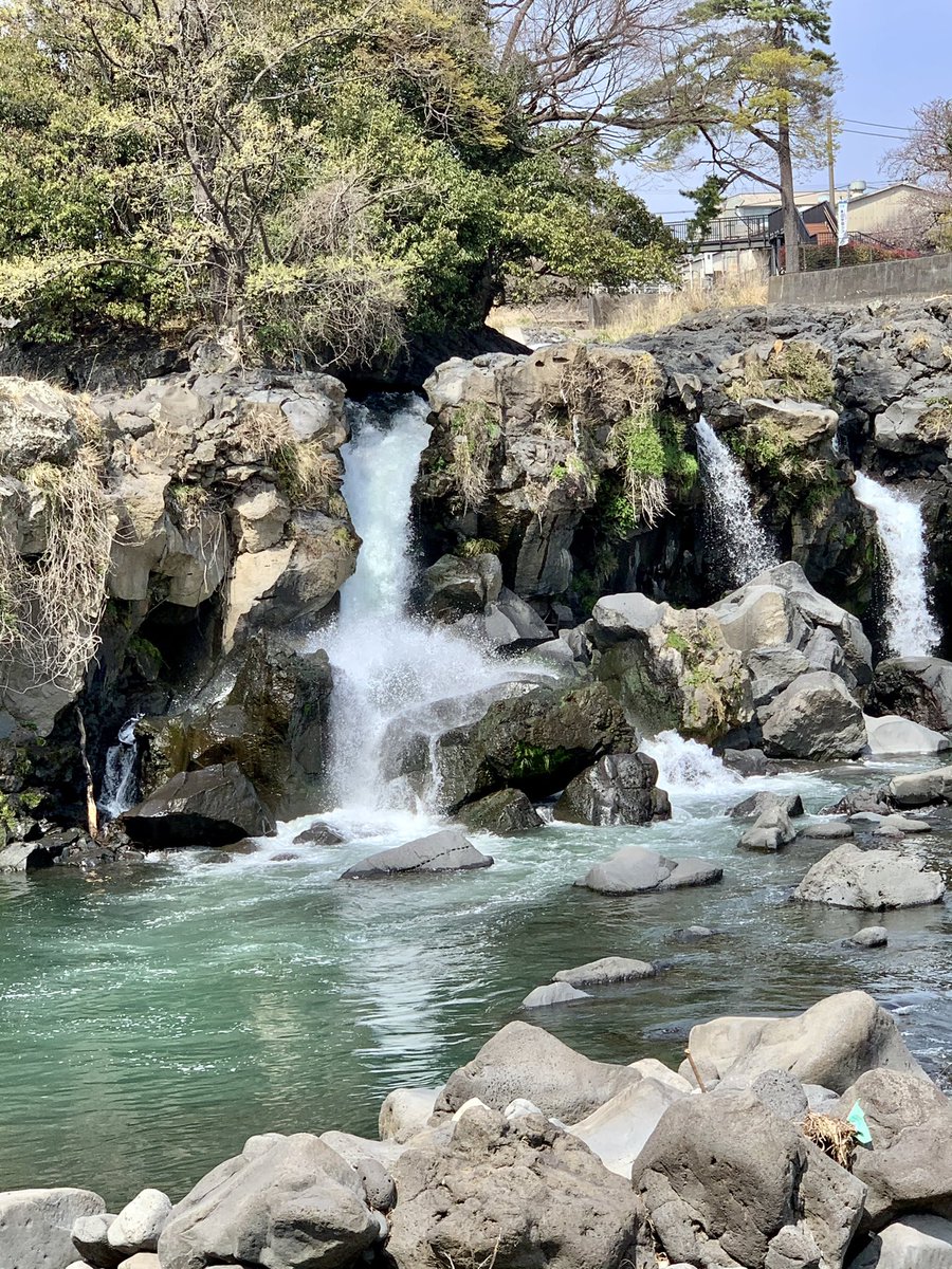 SPerplesky's tweet photo. I went to see Ayutsubo falls which were created by lava flow of Fuji volcano,last week. Here is one of the Unesco Global Geopark. These were beautiful collaboration with cherry blossoms and Mt.Fuji. #鮎壺の滝 #falls #mtfuji #unesco #globalgeopark #cherryblossoms #niceviews #japan https://t.co/OXomfezb7B