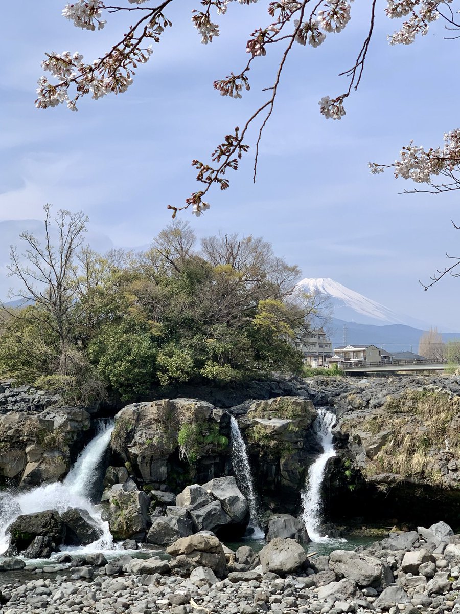 SPerplesky's tweet photo. I went to see Ayutsubo falls which were created by lava flow of Fuji volcano,last week. Here is one of the Unesco Global Geopark. These were beautiful collaboration with cherry blossoms and Mt.Fuji. #鮎壺の滝 #falls #mtfuji #unesco #globalgeopark #cherryblossoms #niceviews #japan https://t.co/OXomfezb7B