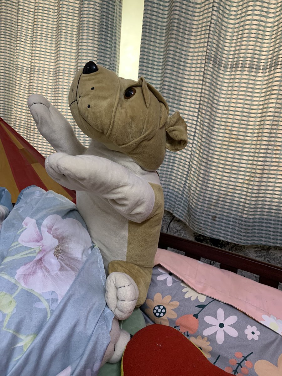 anshula's tweet photo. Ok, I have no idea how or why that darned dog is sitting like that. Time for some Toddler-splaition. Wish me luck. Or send wine. #toddlertales #fouricane #fournado #momlife #surprises https://t.co/uCWrxTQG9l