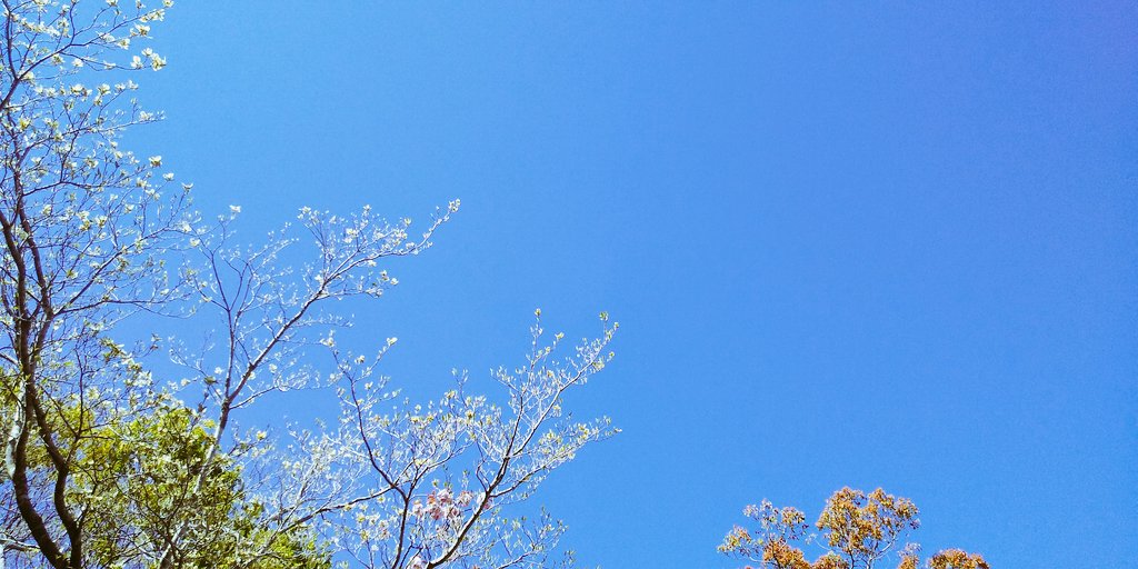 plum🫧 tweet media