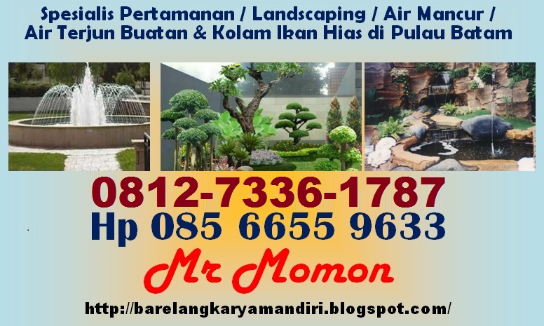 0812-7336-1787 jasa pembuatan taman dengan relief air terjun di Batam

batamarsitek.blogspot.com/2021/04/0812-7…

#BatamCenter #Barelang #Batam #PertamananBatam #AirMancurBatam #AirTerjunBatam #TamanBatam #ReliefBatam #LandscapingBatam #TukangTamanBatam #KolamIkanKoiBatam #SilaturahmiTanpaHenti