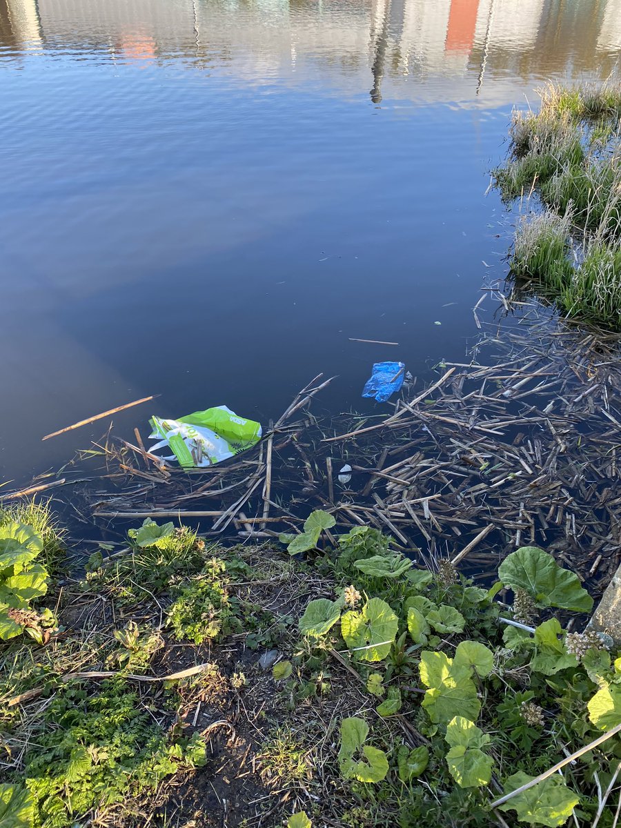 johnnyutah66's tweet photo. Thanks to @isupportlhlh for their #TheBigSpringClean packs. Fishing rubbish out of #Carrickfergus Mill Pond this morning. https://t.co/2f6nBbBHLU
