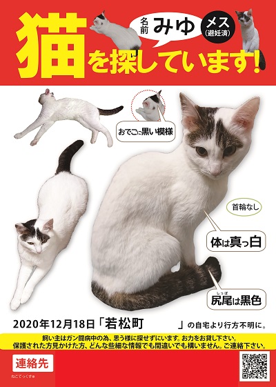 迷子猫のtwitterイラスト検索結果