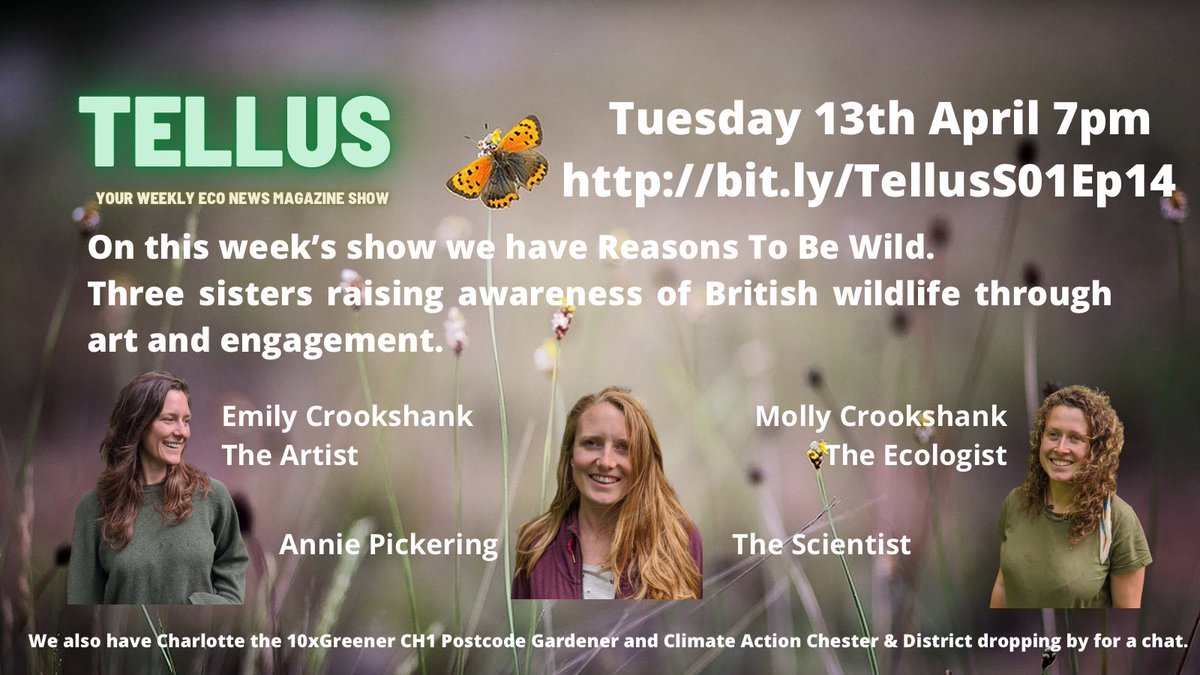 On the show this week we have Reasons To Be Wild, three sisters raising awareness of British wildlife through art and engagement. We also have <a href="/10xCh1/">10xGreenerCH1</a> &amp; @ClimateActionCH dropping by for a chat. Tuesday 7pm bit.ly/TellusS01Ep14
#EnvironmentalArt #PostcodeGardener #ClimateAction