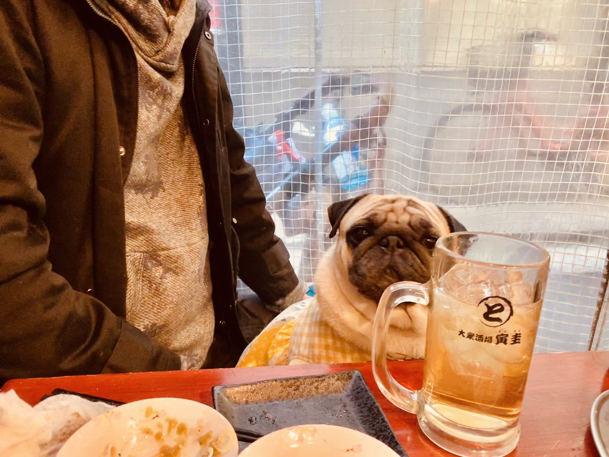 コメットさん 犬とホッピー 都会の犬シリーズ コメットさん 犬とホッピー 都会の犬シリーズ