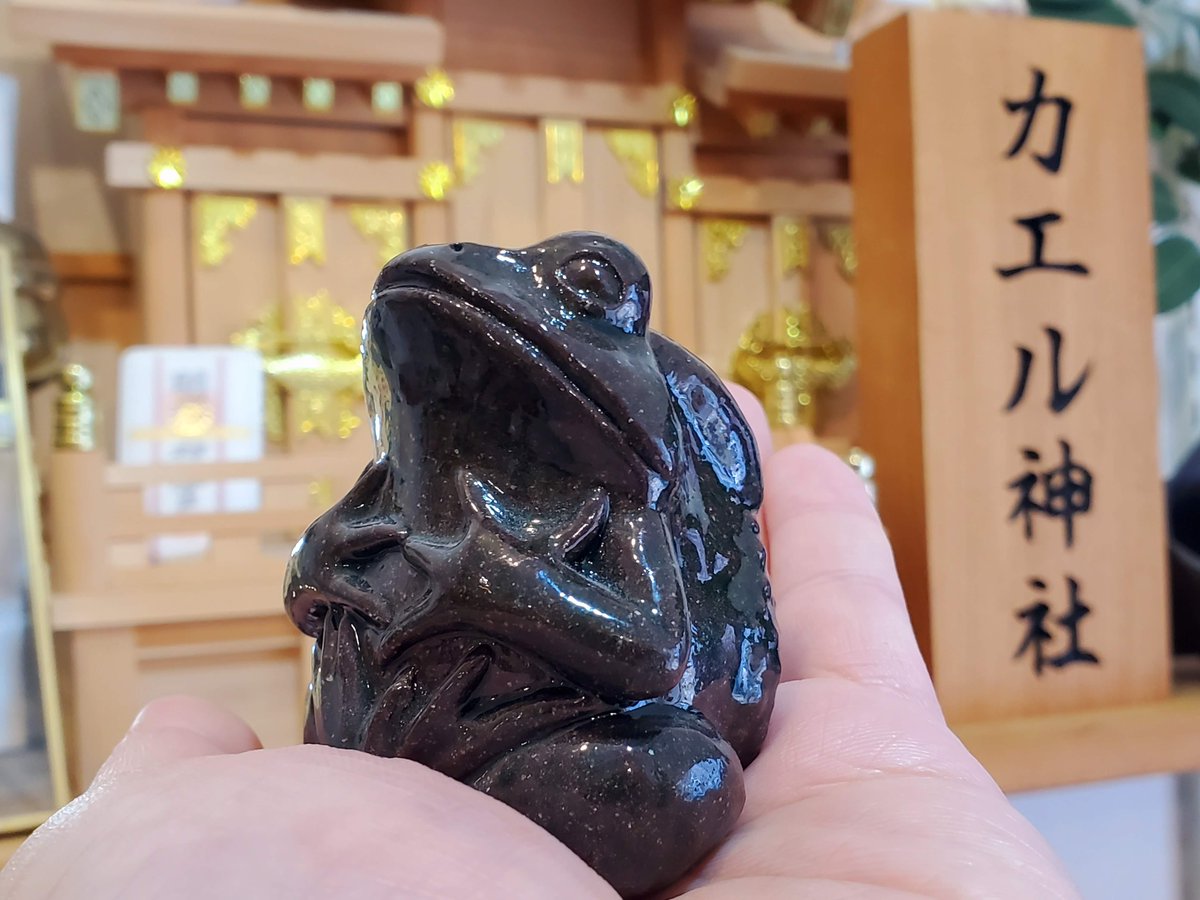 カエル神所長 ひより Hiyori0609 Twitter