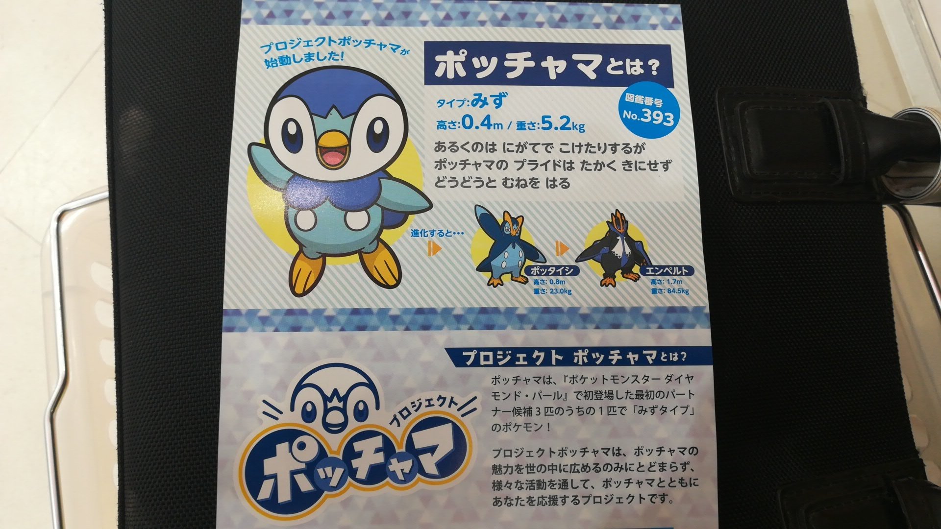 Ryouhei Pikachu ポケモン ポッチャマ ポッチャマと仲間たちをゲットしよう プロジェクトポッチャマ こちらもフォローキャンペーン開催チュウ 詳しくはお近くの ポケモンセンター へ T Co 4xitwoudag Twitter