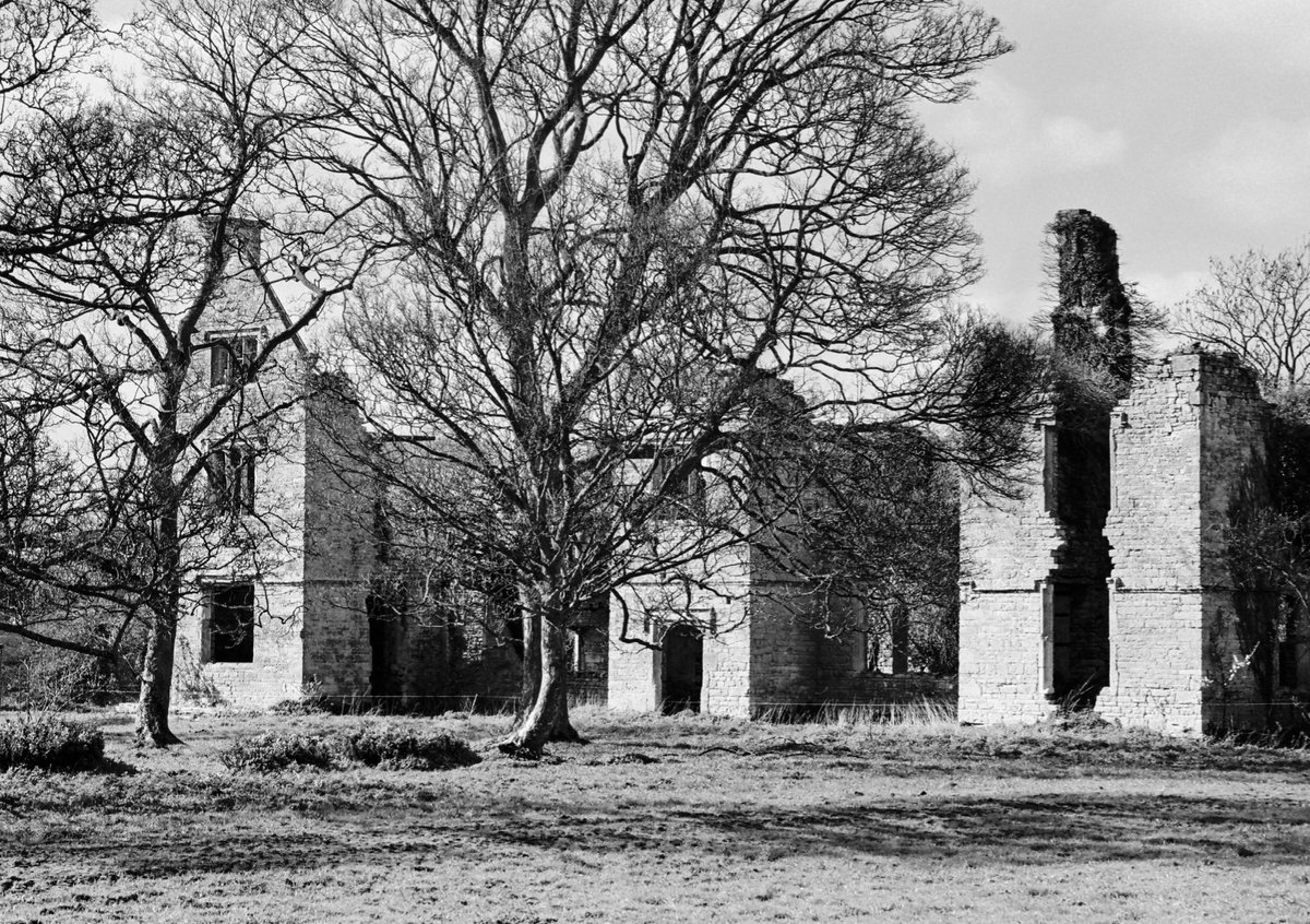 Flashofdark's tweet image. The right light creates that fine pencil sketch look.  Shot with Leica M7, 90mm Elmarit-M and Kodak TMax 100 #leicam7 #blackandwhitephotography #filmphotography #kodak #Oxfordshire #landscapephotography