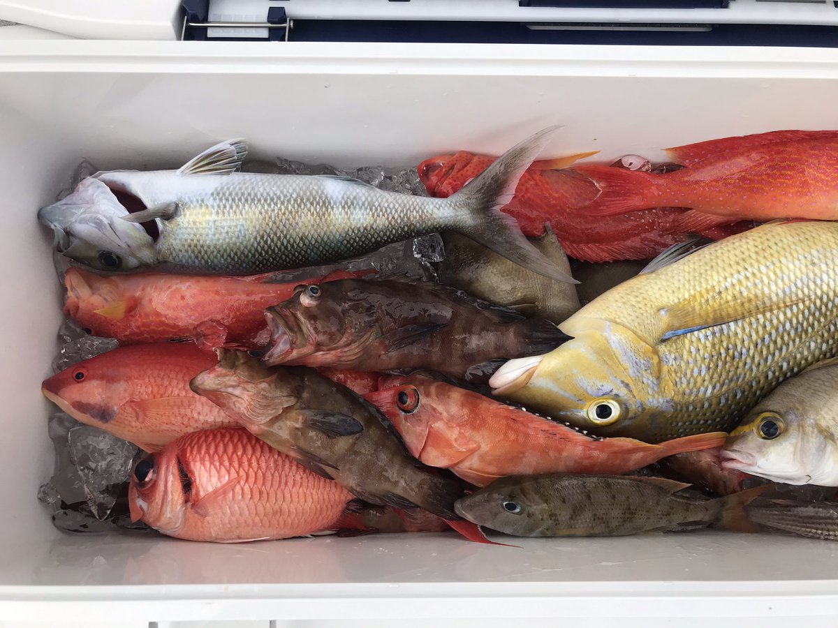 食料確保
これで明日からまた仕事を頑張れる 