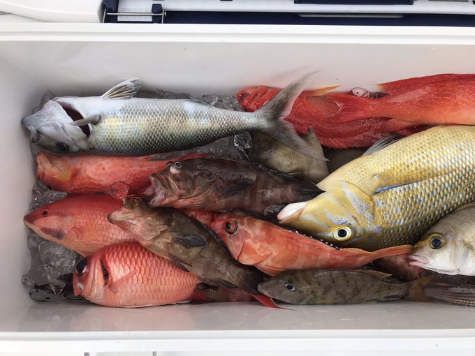 食料確保
これで明日からまた仕事を頑張れる 