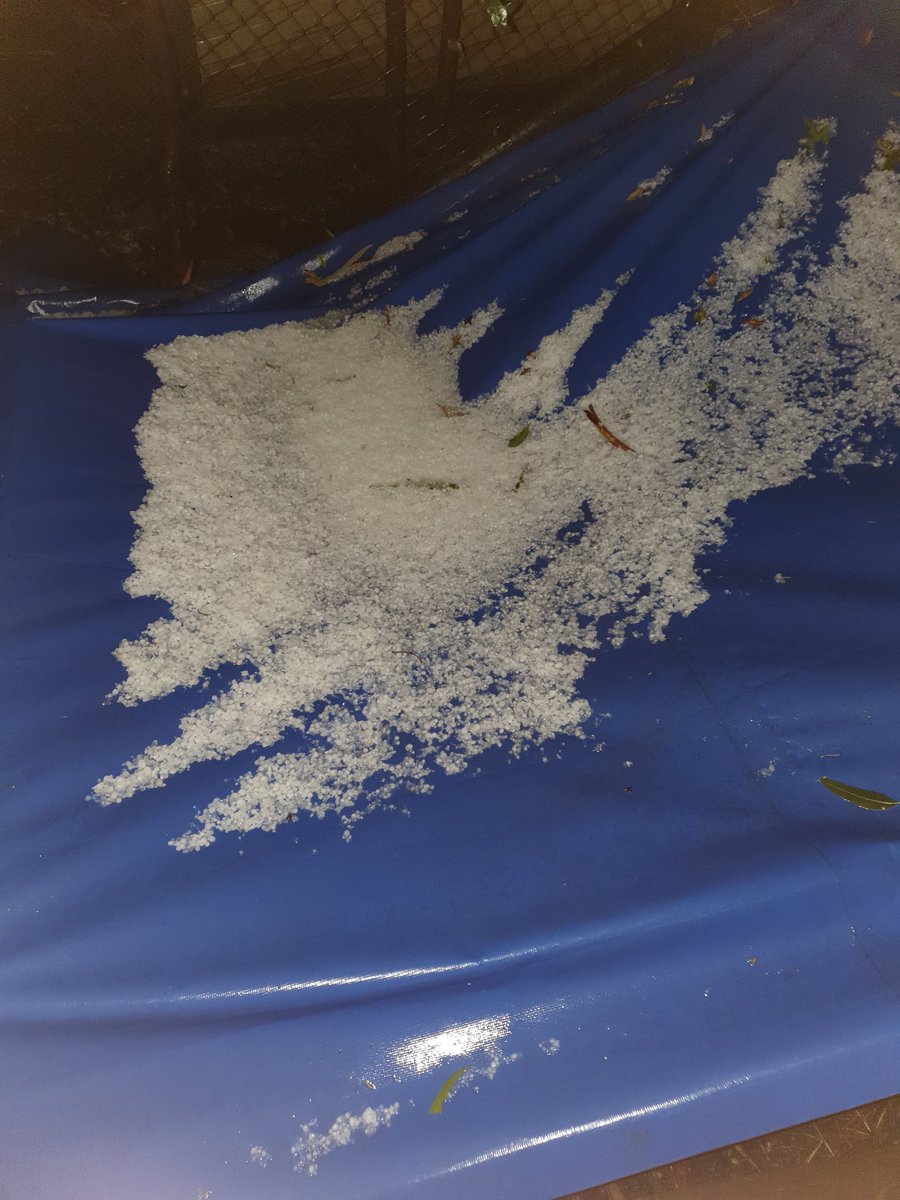 Absolutely crazy hail storm just came down in Belgrave. Almost looks like it snowed. Did this hit anyone else?