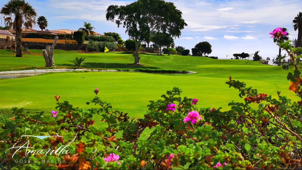 Llega el fin de semana perfecto, para disfrutar del Pitch &amp; Putt de Amarilla Golf, disfrutar del aire libre y la excelente compañía.

#amarillagolf #amarillaexperience #pitchandputt #golfer #golfplayer #golf #tenerife #tenerifegolf #tourism #sports #9holes #canary