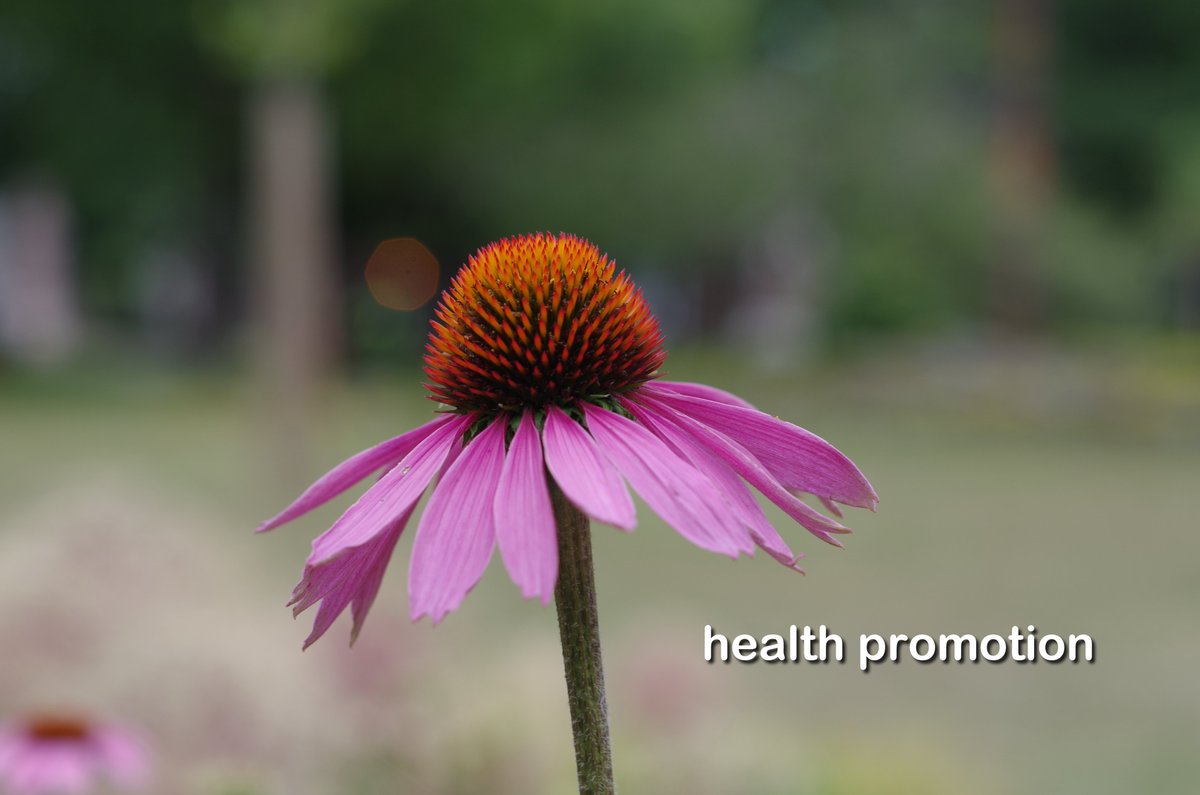To achieve #wellness there's a balancing act between disease prevention and #health promotion.

#sustainable #natural #healthy #youarenature #CommonSense