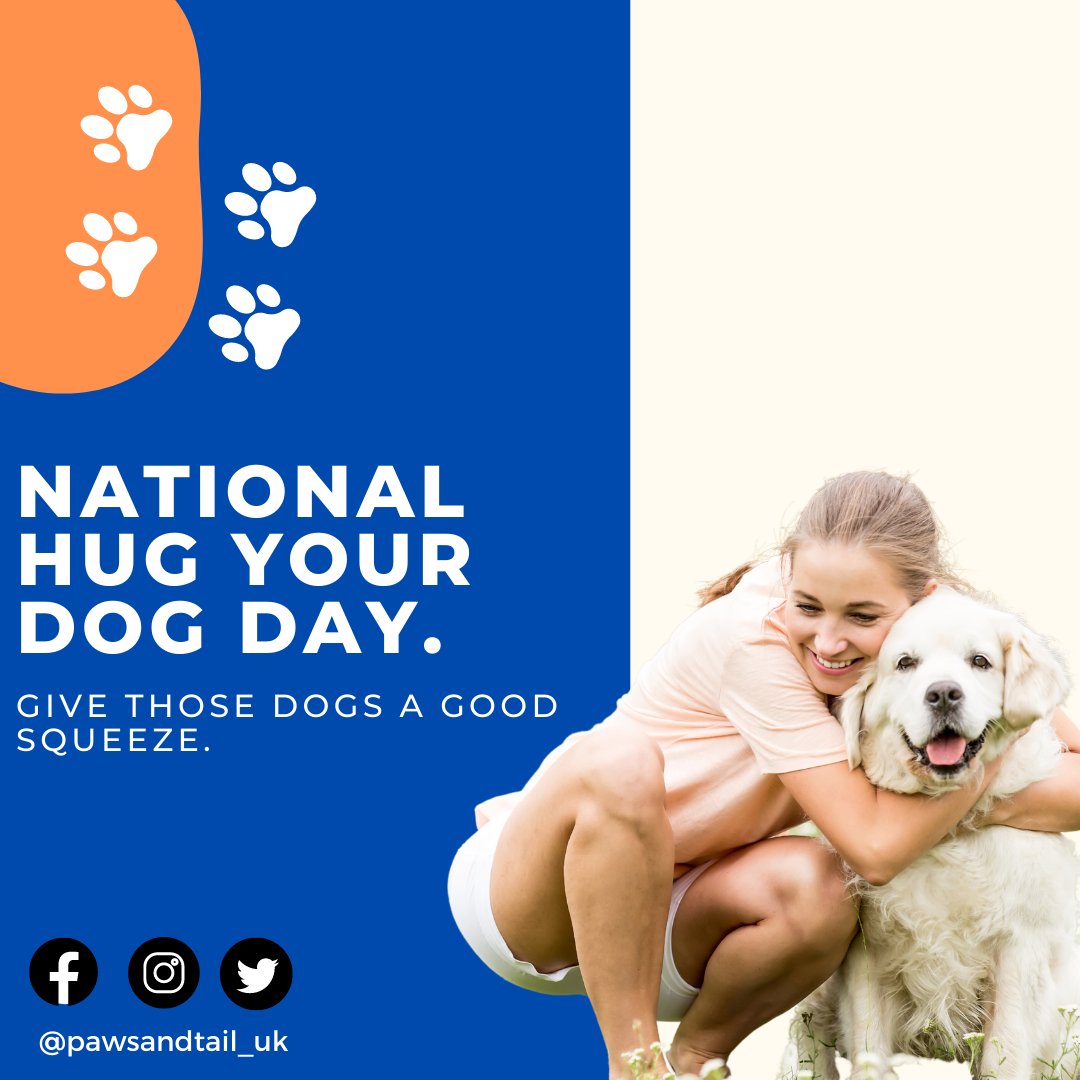 Is It Okay To Hug Your Dog
