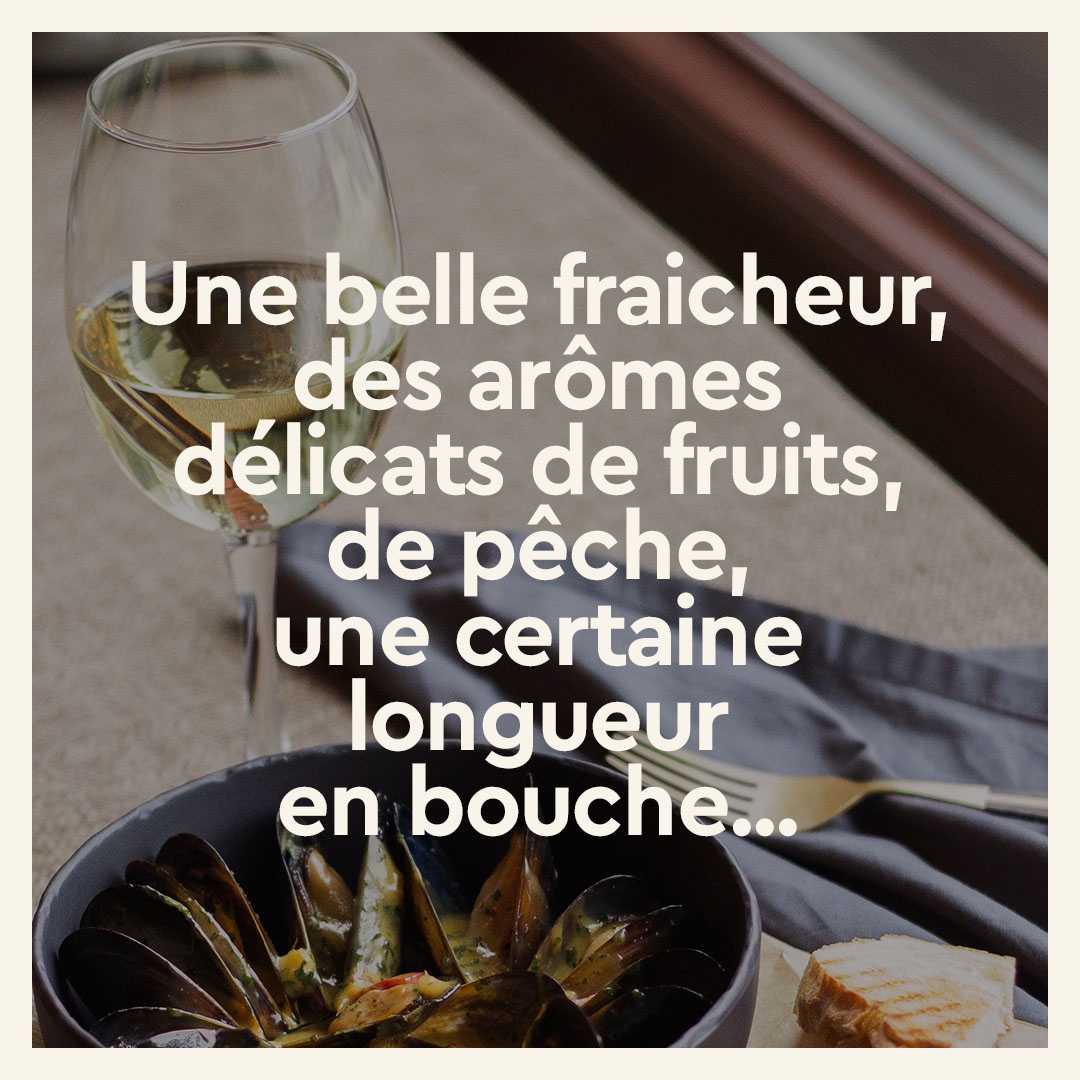 Oé, le bien par le bon ! tweet media