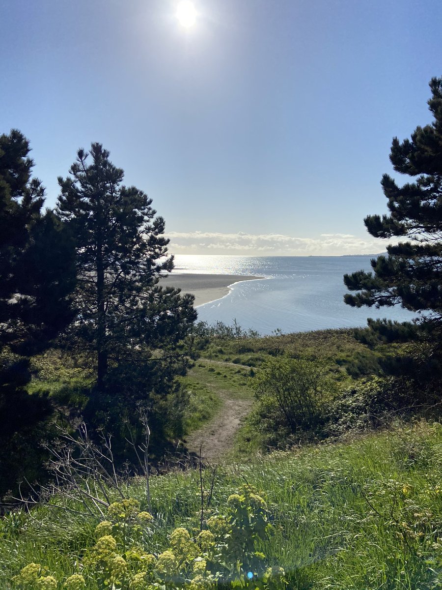 carolinemgall's tweet photo. Gorgeous morning in Irishtown Nature Park, great to have it within 5k #sandymount https://t.co/9KijmJbPUY