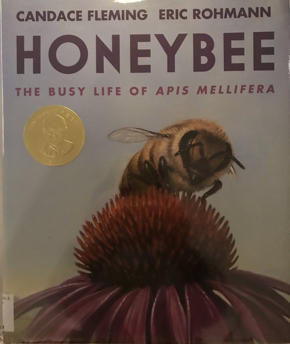 This stunning book made me love and admire Apis Mellifera. Everyone should read this captivating story and give thanks to the honeybees.  @candacemfleming #ericrohmann #neilporterbooks @HolidayHouseBks