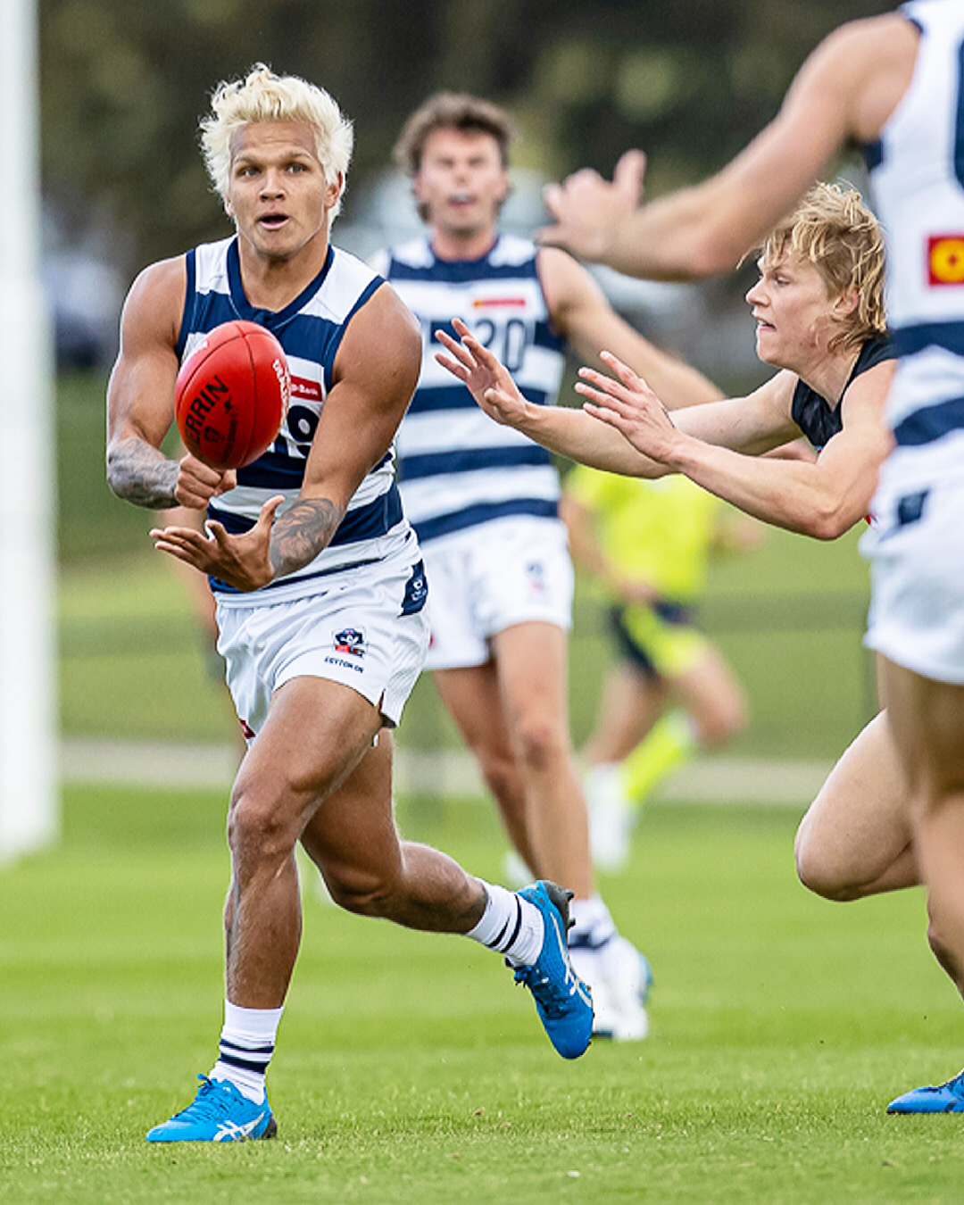 Geelong Cats on Twitter: 