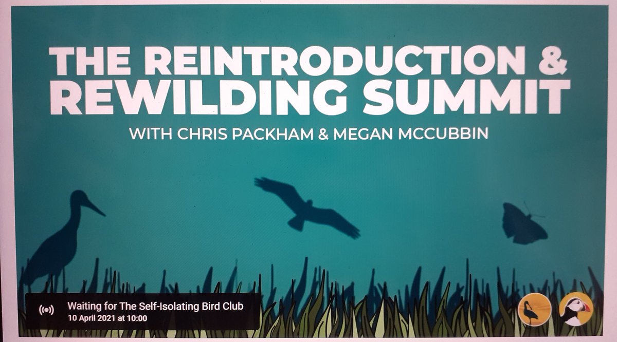 Birchie_S tweet media