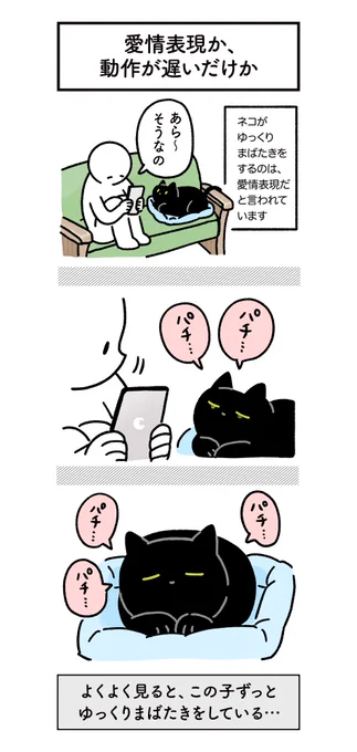 ねこからの愛情表現を浴びるように受けてる絵日記 #ろんの絵日記 