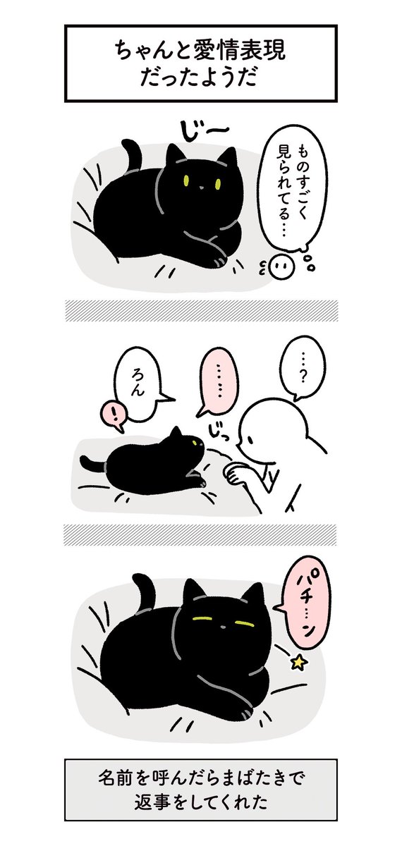 ねこからの愛情表現を浴びるように受けてる絵日記 #ろんの絵日記 